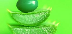 Aloe vera fresca con foglie tagliate e gel naturale