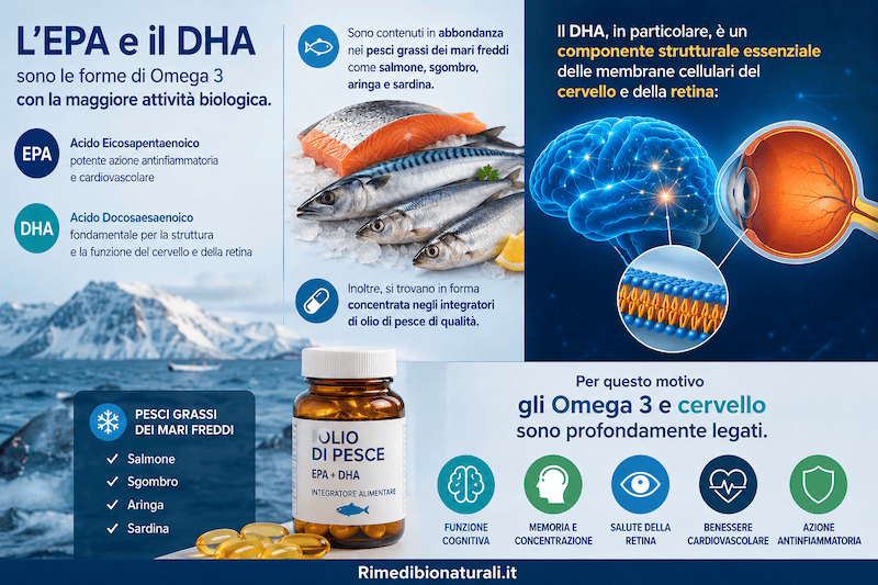 Omega 3 EPA e DHA con pesci grassi dei mari freddi, integratore di olio di pesce, cervello e retina evidenziati per i benefici cognitivi e cardiovascolari.