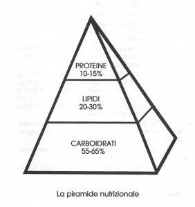 Piramide nutrizionale con percentuali di carboidrati, lipidi e proteine per alimentazione equilibrata