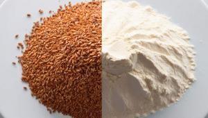 Farina integrale e farina raffinata a confronto per qualità nutrizionale