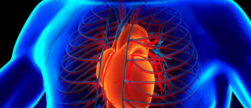 Cibo che ringiovanisce la salute del cuore